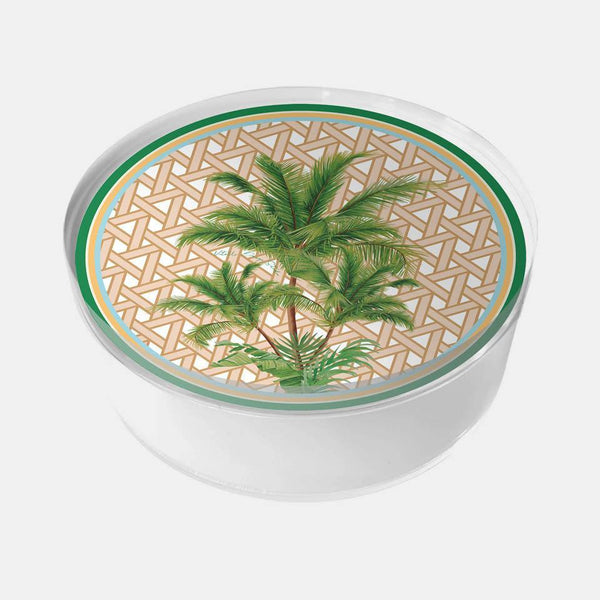 Hazeran Palm 12 Cm Acrylic Jar - Vitelli Design Studio UAE