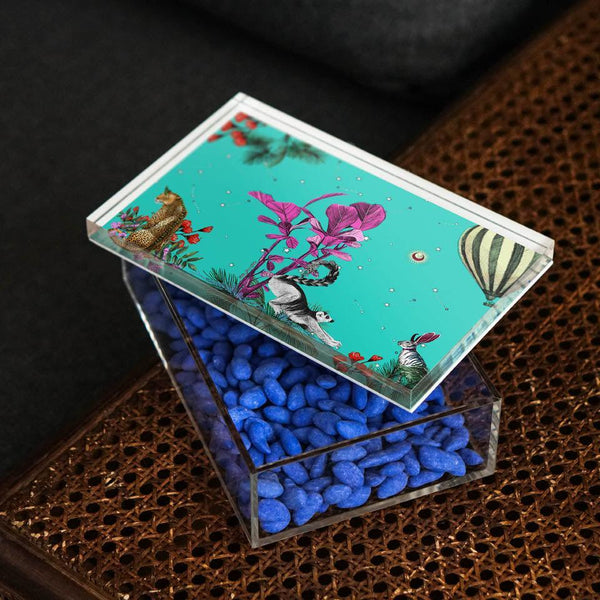 Wonderland Green Raccoon 22x14 Acrylic Jar - Vitelli Design Studio UAE