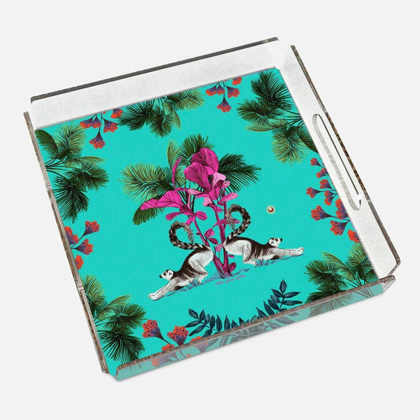 Wonderland Green Raccoon 40x40 Acrylic Tray - Vitelli Design Studio UAE