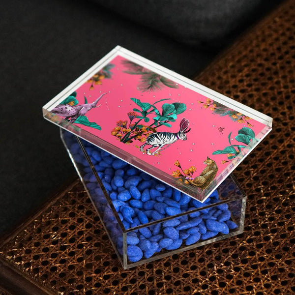 Wonderland Pink Rabbit 22x14 Acrylic Jar - Vitelli Design Studio UAE