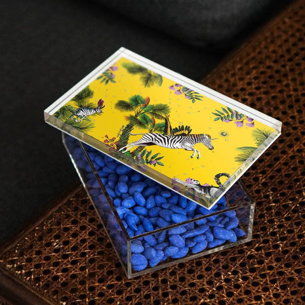 Wonderland Yellow Zebra 22x14 Acrylic Jar - Vitelli Design Studio UAE