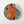 Hazeran Lobster 25 Cm Porcelain Plate - Vitelli Design Studio UAE