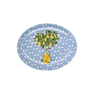 Hazeran Limon 21 Cm Porselen Kayƒ±k Tabak