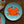 Hazeran Crab 20 Cm Porcelain Plate - Vitelli Design Studio UAE