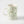 Istanbul Pera Porcelain Coffee Mug