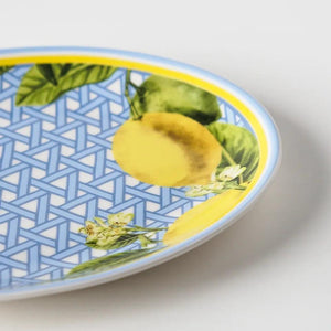 Hazeran Limon 24 Cm Porcelain Boat Plate - Vitelli Design Studio UAE