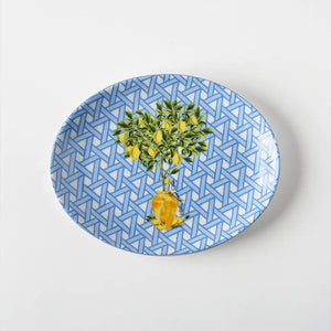 Hazeran Limon 21 Cm Porcelain Boat Plate - Vitelli Design Studio UAE
