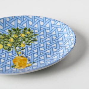 Hazeran Limon 21 Cm Porcelain Boat Plate - Vitelli Design Studio UAE