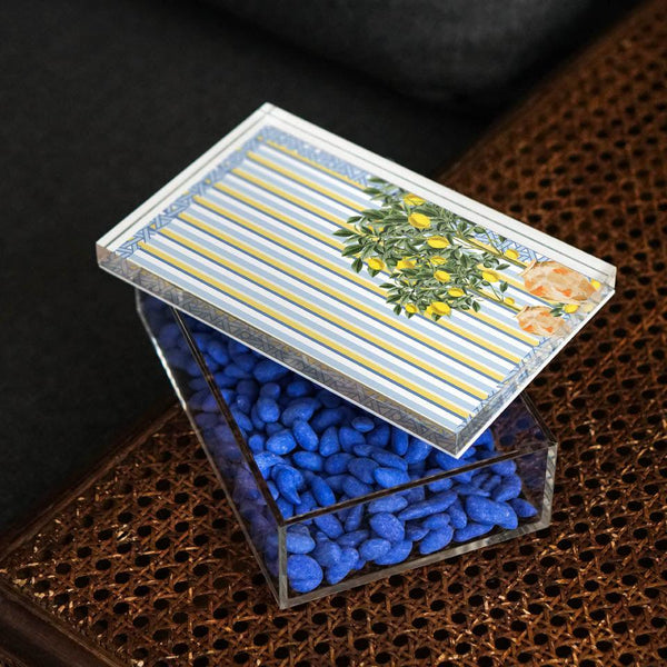 Hazeran Lemon 18x12 Acrylic Jar - Vitelli Design Studio UAE