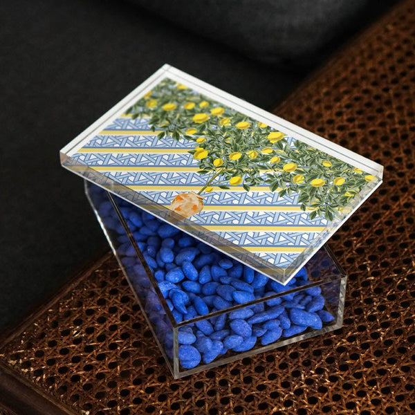 Hazeran Lemon 22x14 Acrylic Jar - Vitelli Design Studio UAE