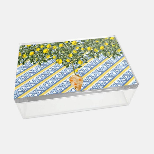 Hazeran Lemon 22x14 Acrylic Jar - Vitelli Design Studio UAE