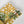 Hazeran Palm Ceramic Ashtray 1 - Vitelli Design Studio UAE