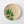 Hazeran Palm 20 Cm Porcelain Plate - Vitelli Design Studio UAE
