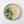 Hazeran Palm 25 Cm Porcelain Plate - Vitelli Design Studio UAE