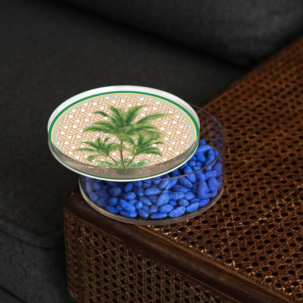 Hazeran Palm 12 Cm Acrylic Jar - Vitelli Design Studio UAE