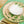 Hazeran Palm Porcelain Bowl - Vitelli Design Studio UAE