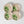 Hazeran Palmiye 12 Cm Porcelain Plate Set of 4 - Vitelli Design Studio UAE