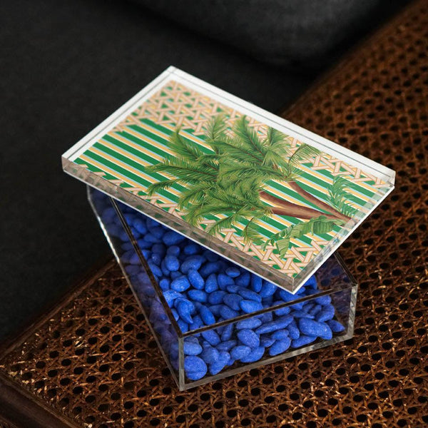 Hazeran Palm 18x12 Acrylicglass Jar - Vitelli Design Studio UAE