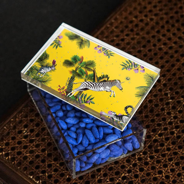 Wonderland Yellow Zebra 18x12 Acrylic Jar - Vitelli Design Studio UAE